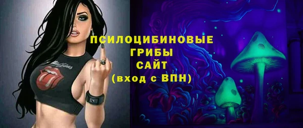 круглые Аркадак