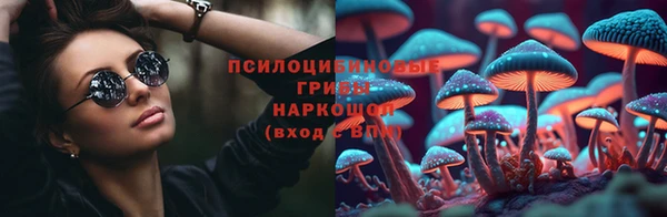apvp Армянск