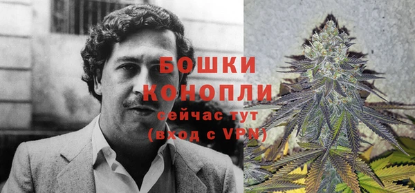 амф Арсеньев