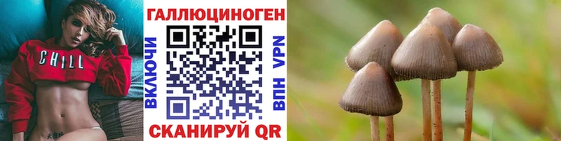 Псилоцибиновые грибы Psilocybe  магазин    МЕГА ТОР  Ирбит 