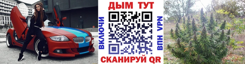МАРИХУАНА сатива  Ирбит 